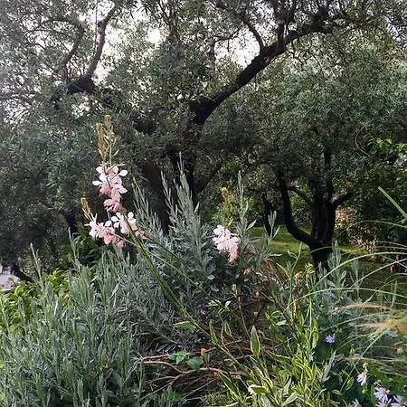 Bed & Breakfast Gilda Relax & Living